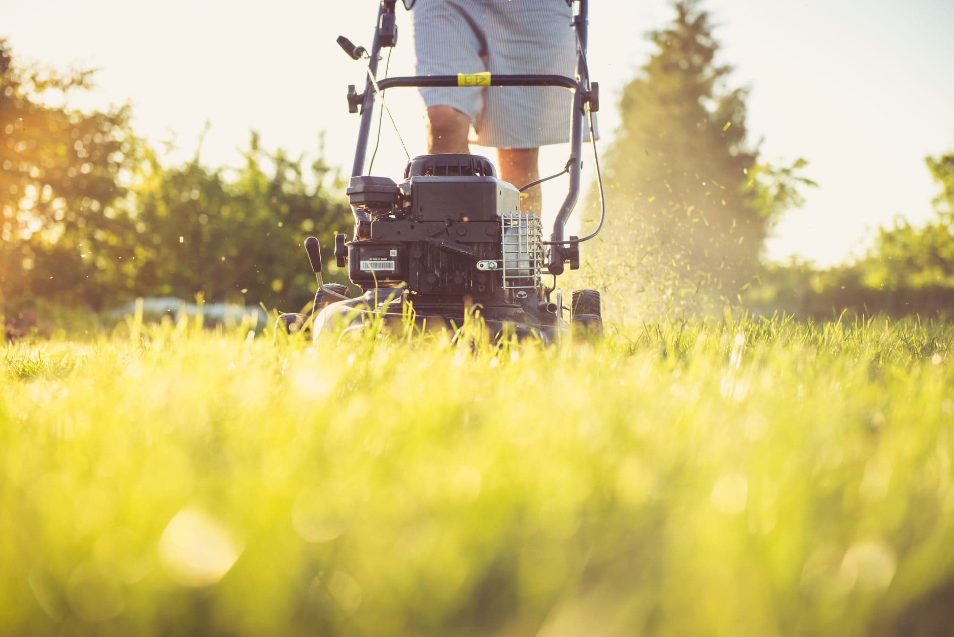 A landscaper pushing a gas mower across a lawn in summer sun